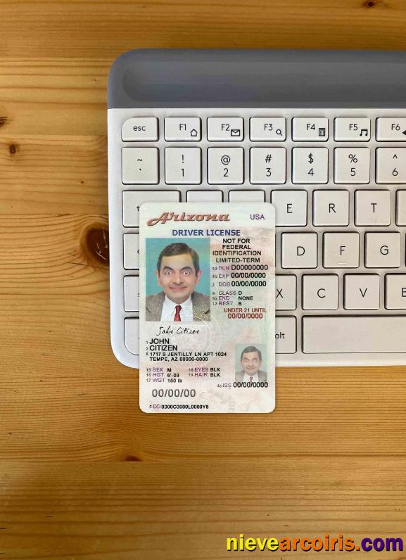 USA Arizona driving license photolook